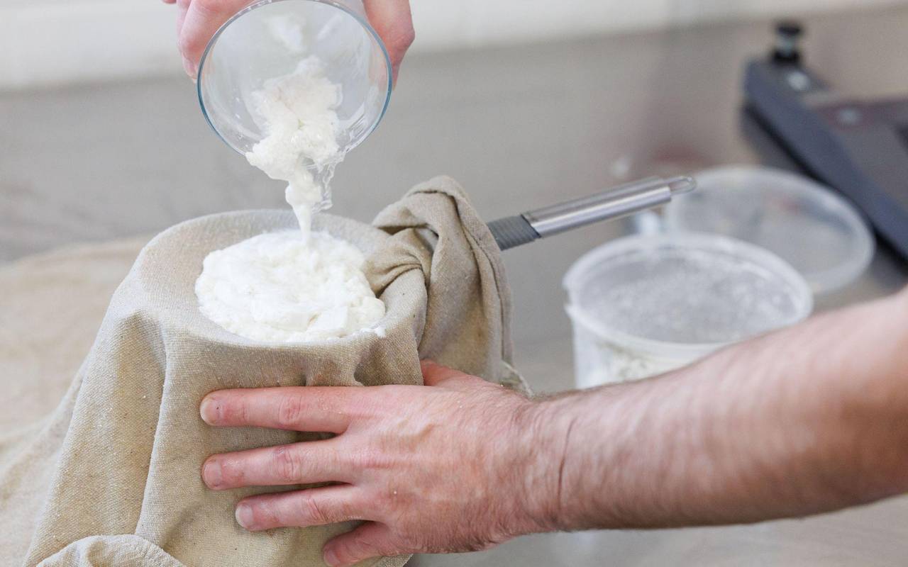 Ein Lebensmitteltechniker trennt Proteine von erhitzter Milch