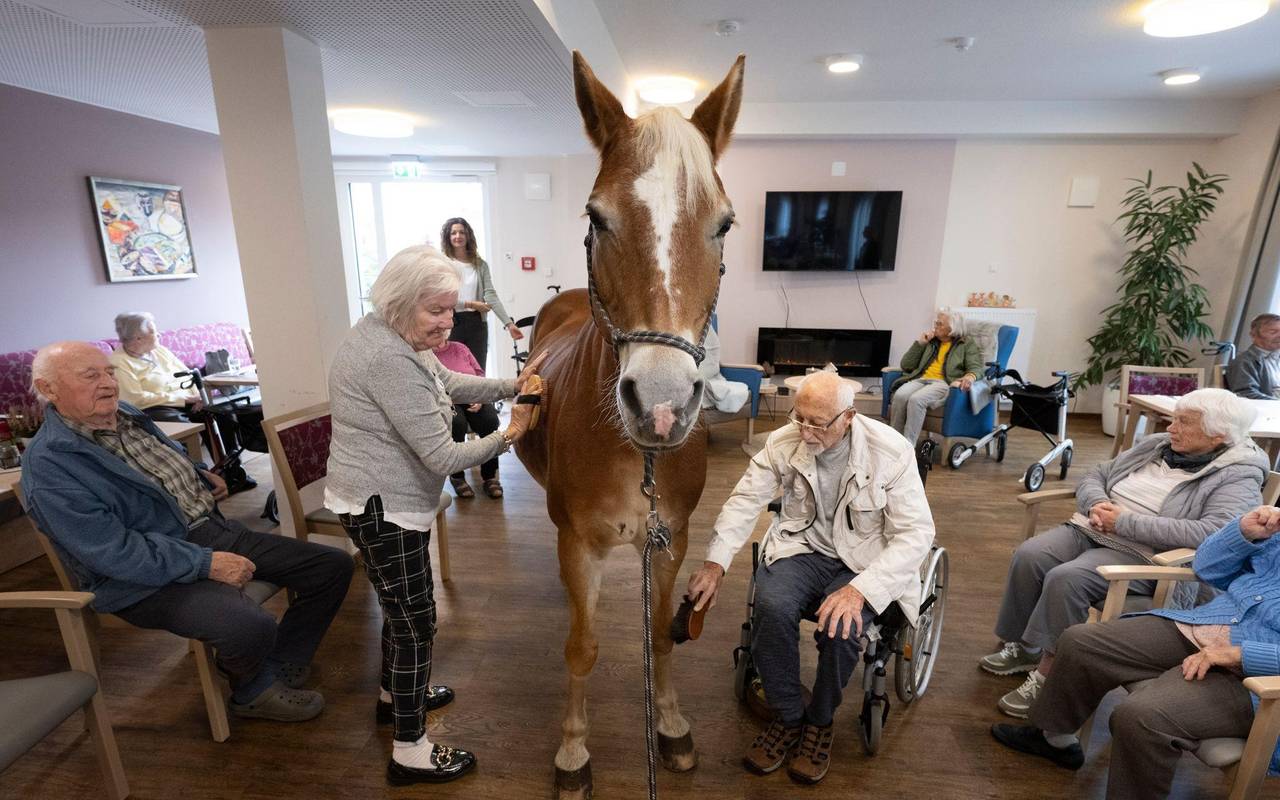 Mit dem Pferd ins Altenheim