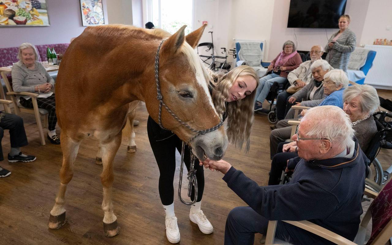 Mit dem Pferd ins Altenheim