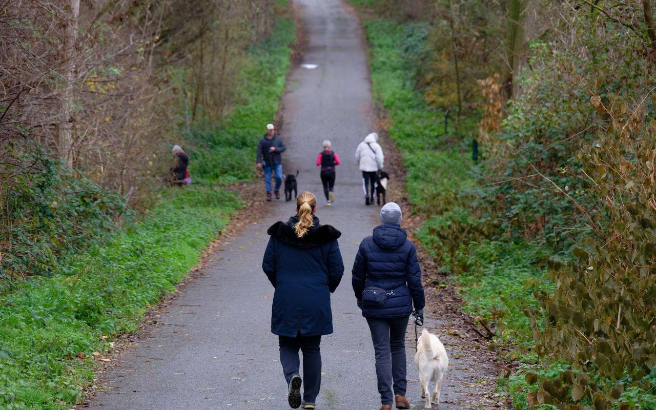 Wetterausblick zum Start in die neue Woche