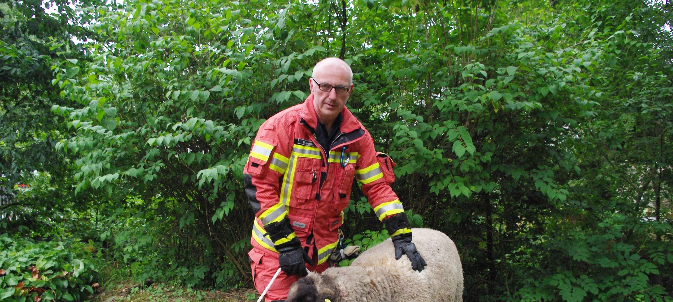 Feuerwehr rettet Schaf
