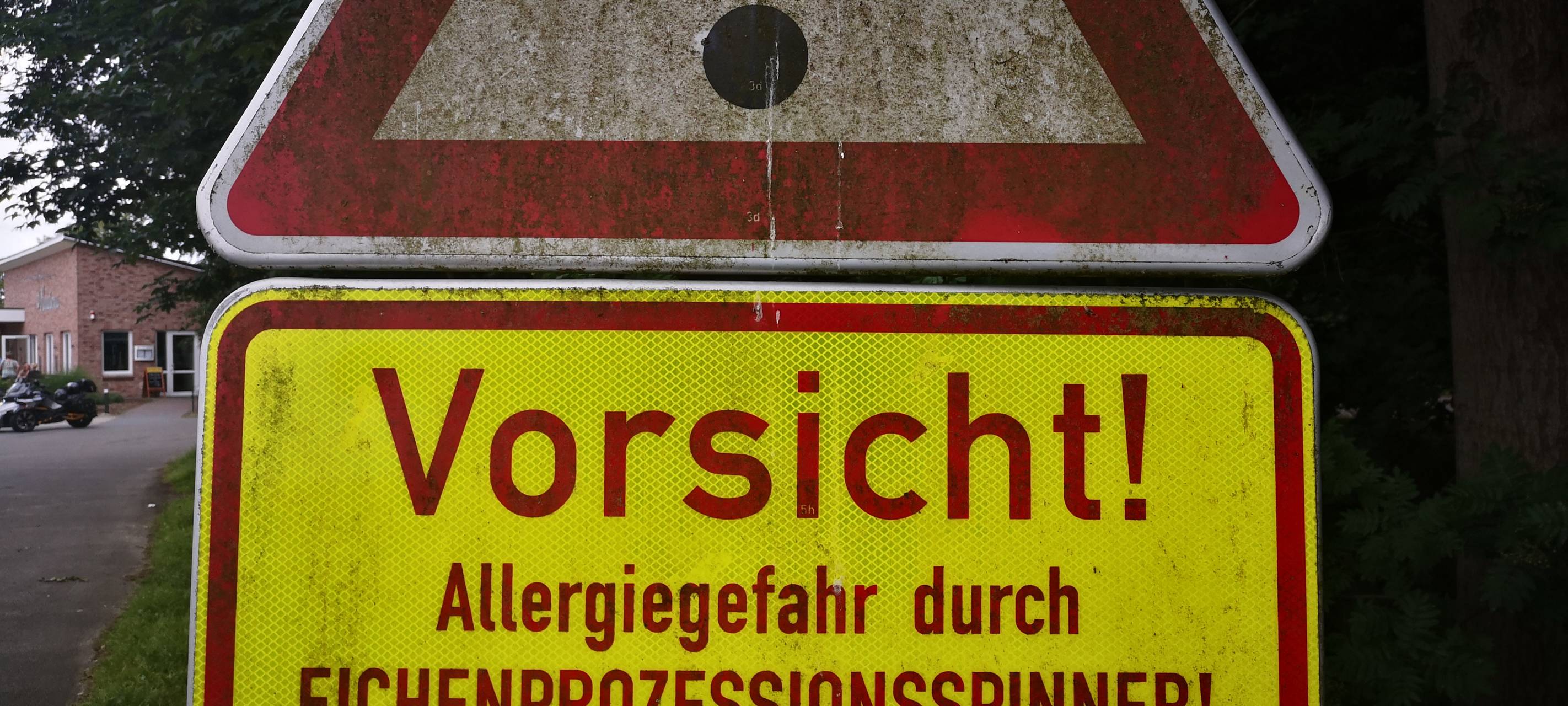 Eichenprozessionsspinner breiten sich aus