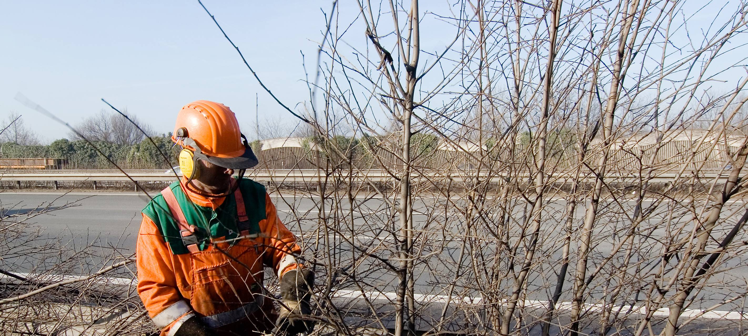 Baumfällarbeiten an der A3