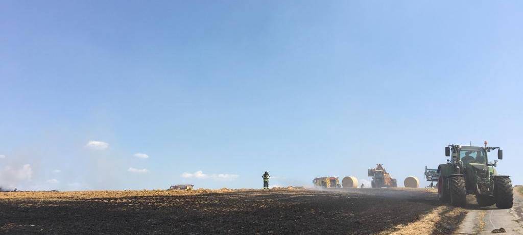 Feldbrand in Mettmann gelöscht