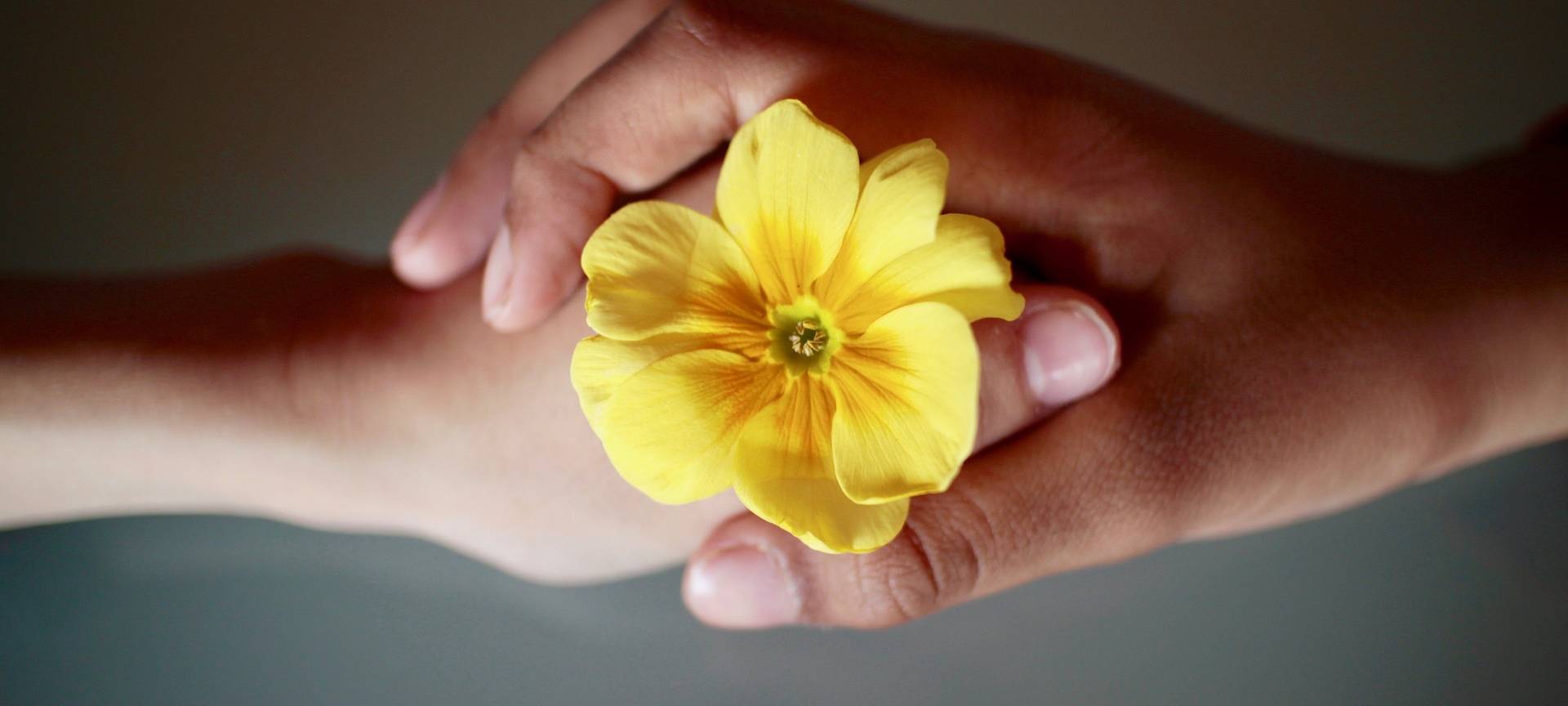 Gegen Rassismus in der Schule