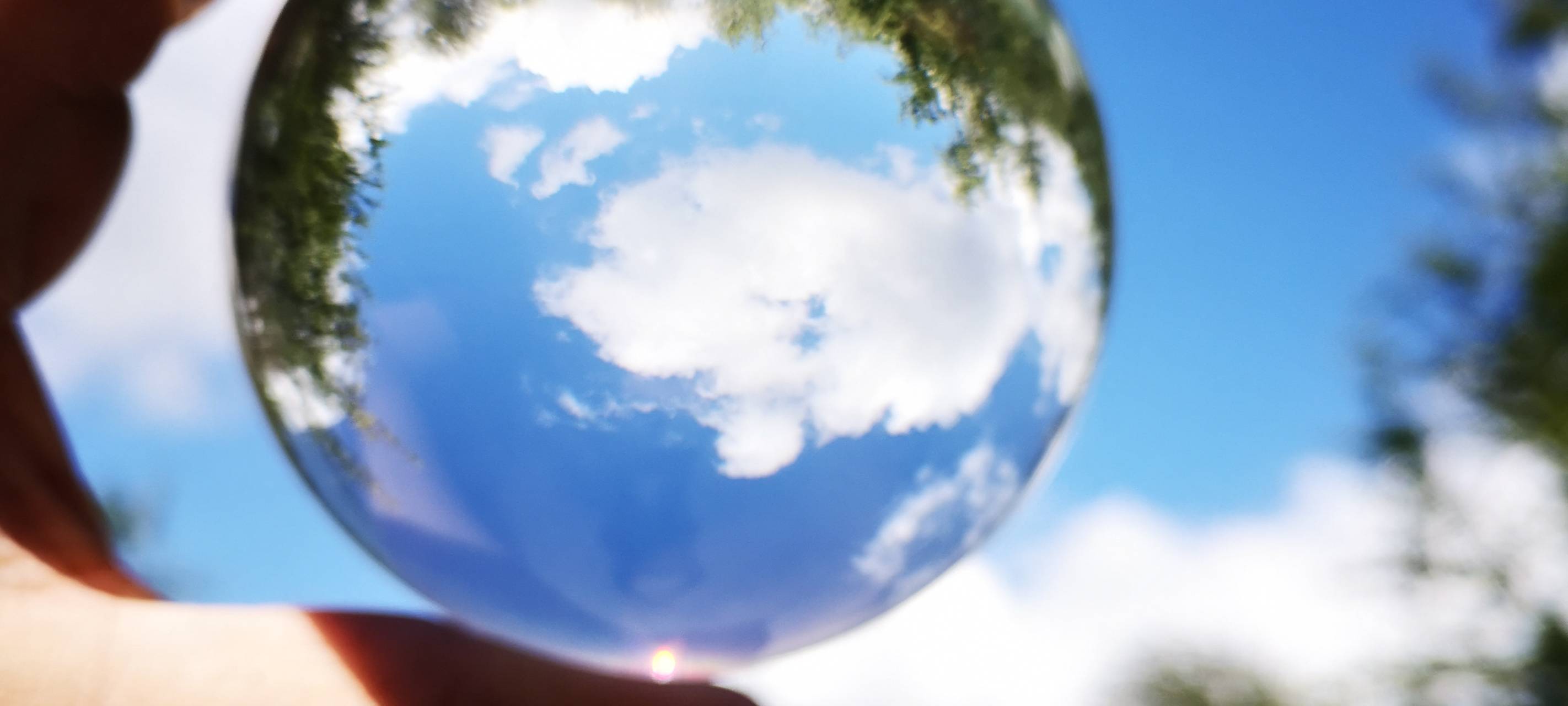 Ratingen: Stadt fördert Gründächer