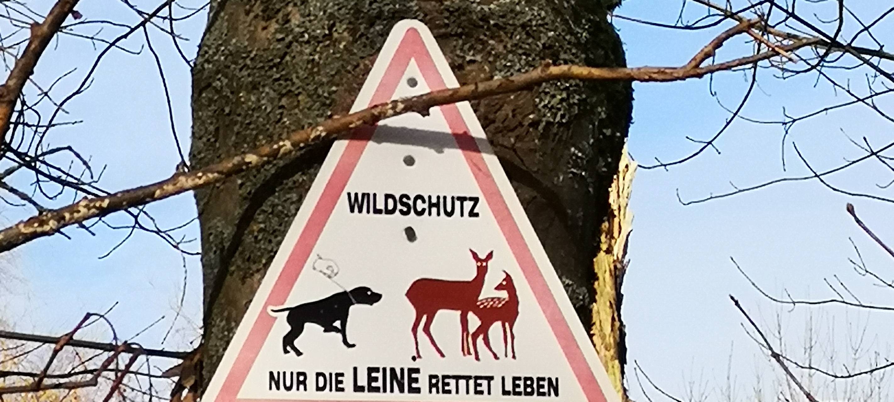 Brutzeit im Kreis Mettmann: Leinenpflicht für Hunde