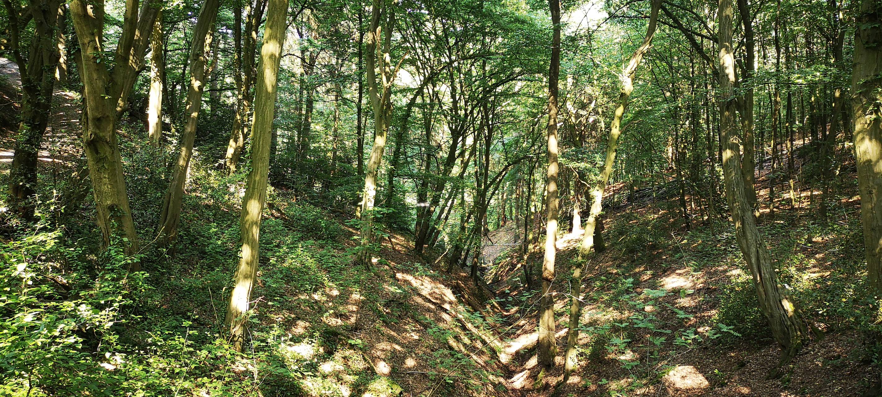 15.000 € für Umweltbildungszentrum