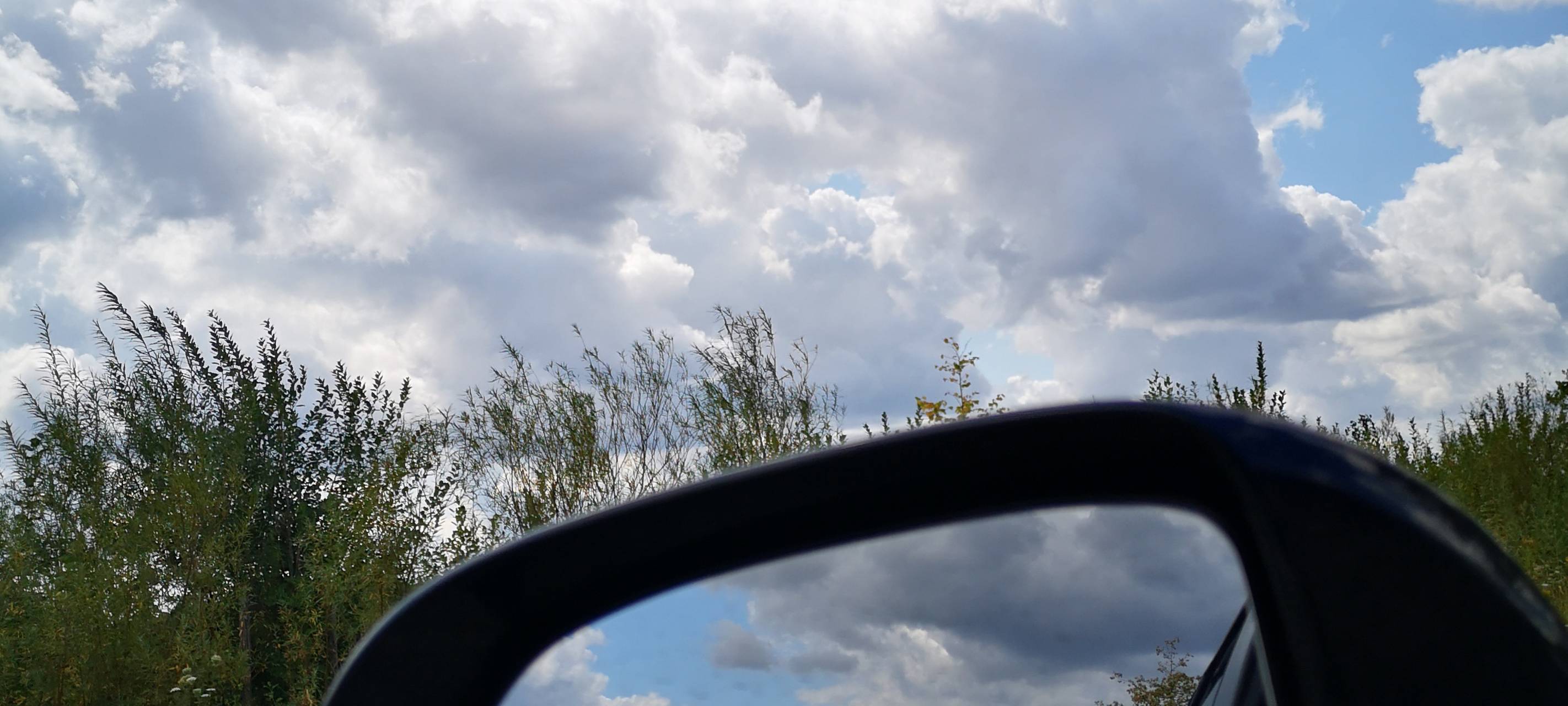 Holländergriff gegen Dooring-Unfälle