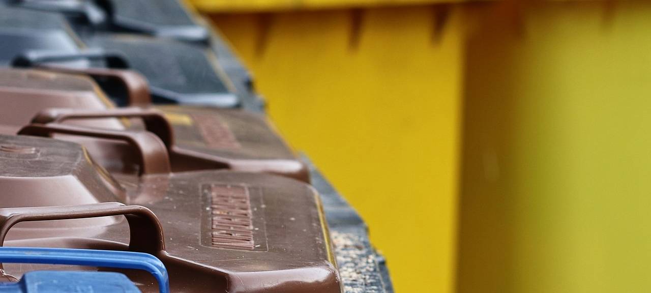 Biomüll - ein ungenutzter Rohstoff