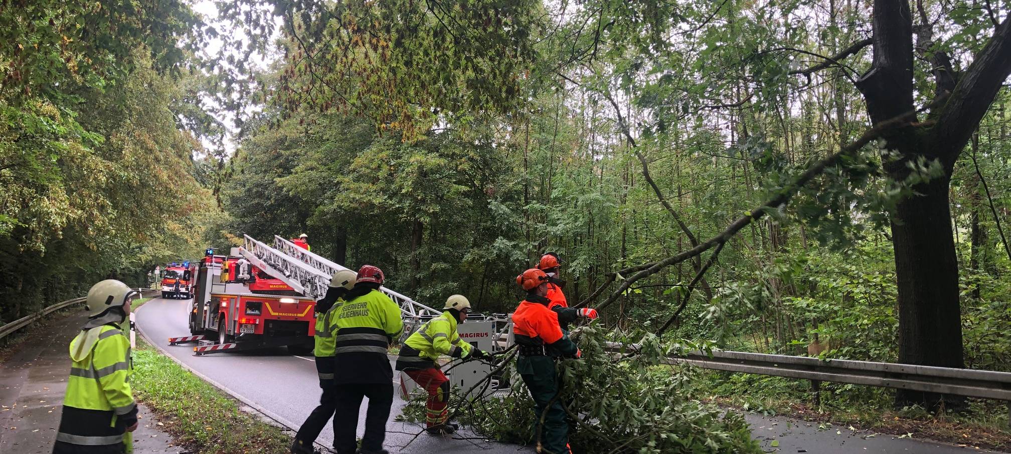"Eugen" hat meistens Bäume beschädigt