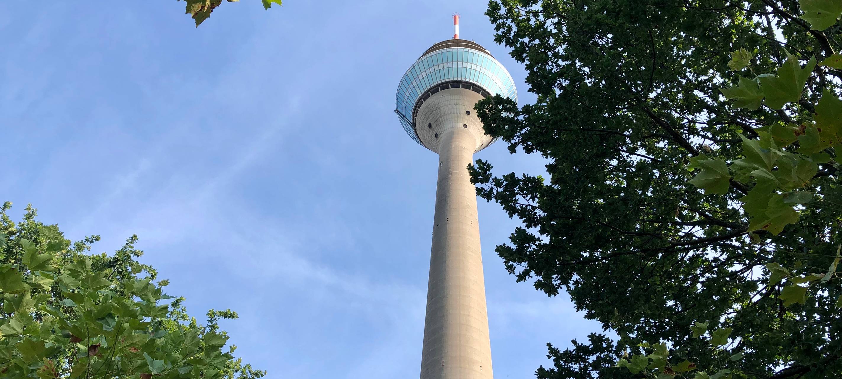 Düsseldorf: Denkmal wird enthüllt