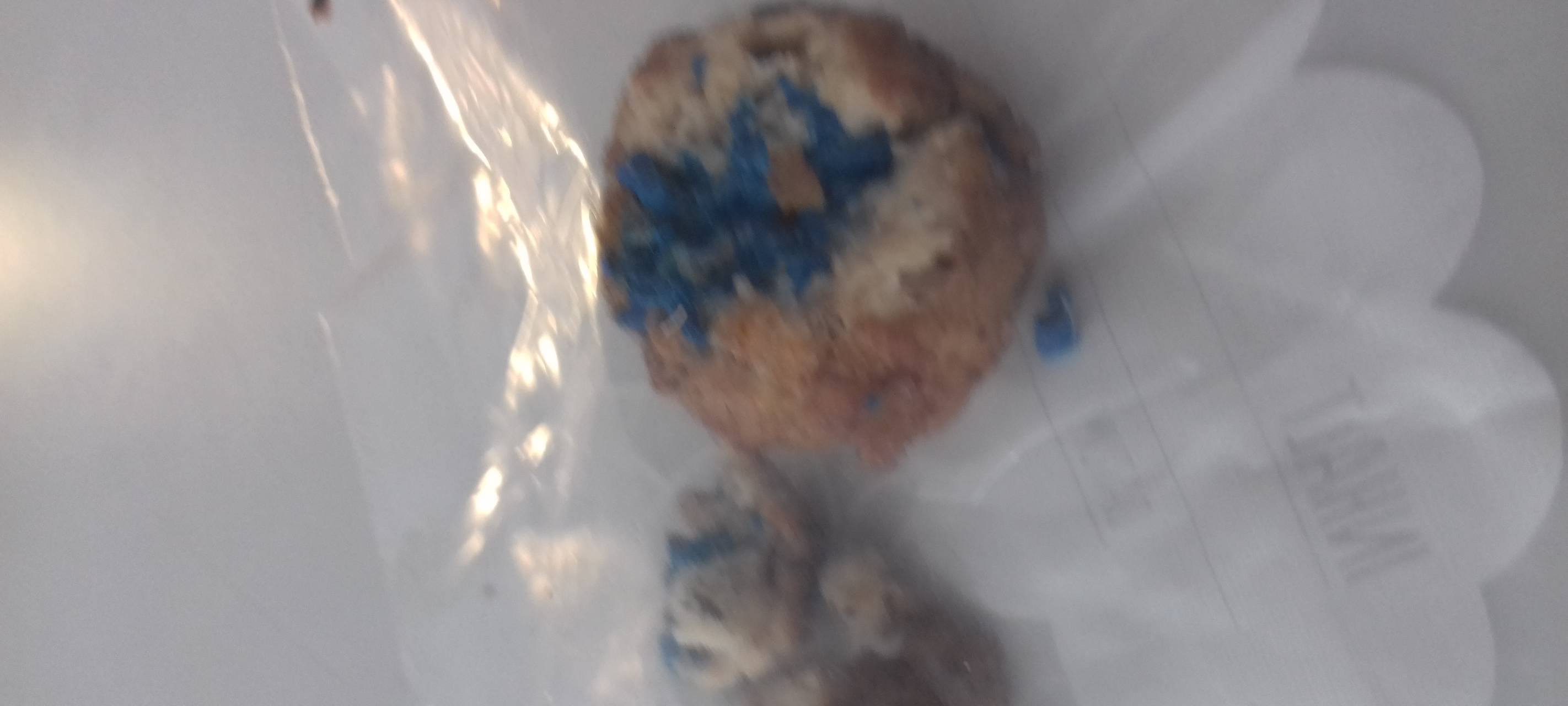 Giftköder in Mettmann