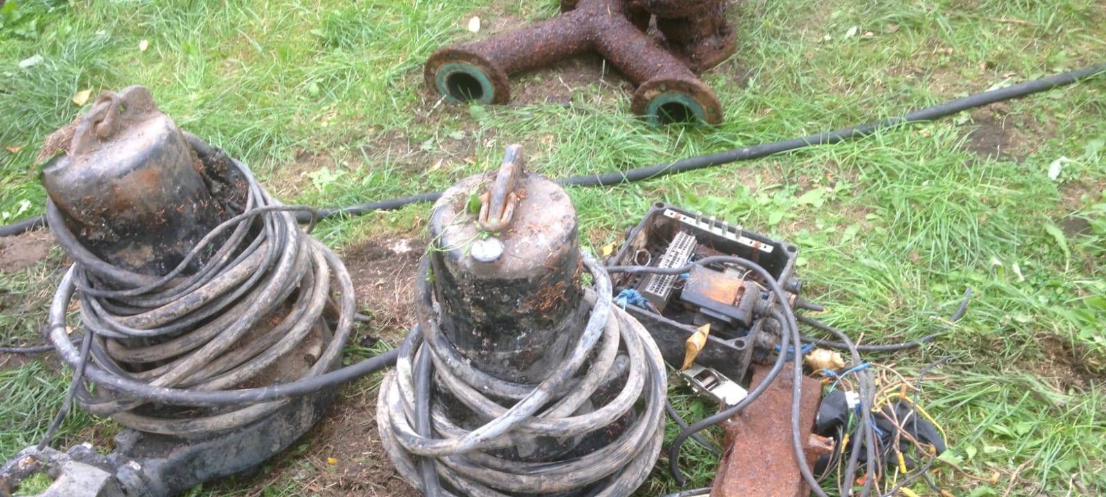 Tierheim Velbert geschlossen