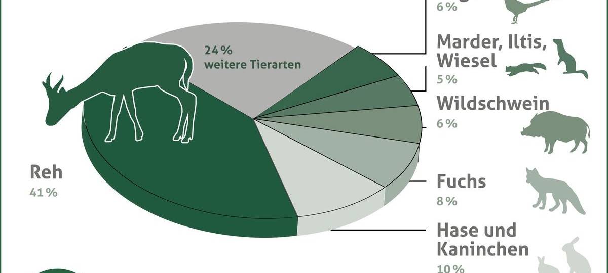 Kreisjägerschaft Mettmann warnt vor Wildunfällen