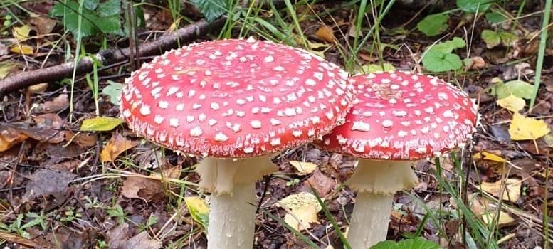 Gäste-Cards für den Urlaub in NRW