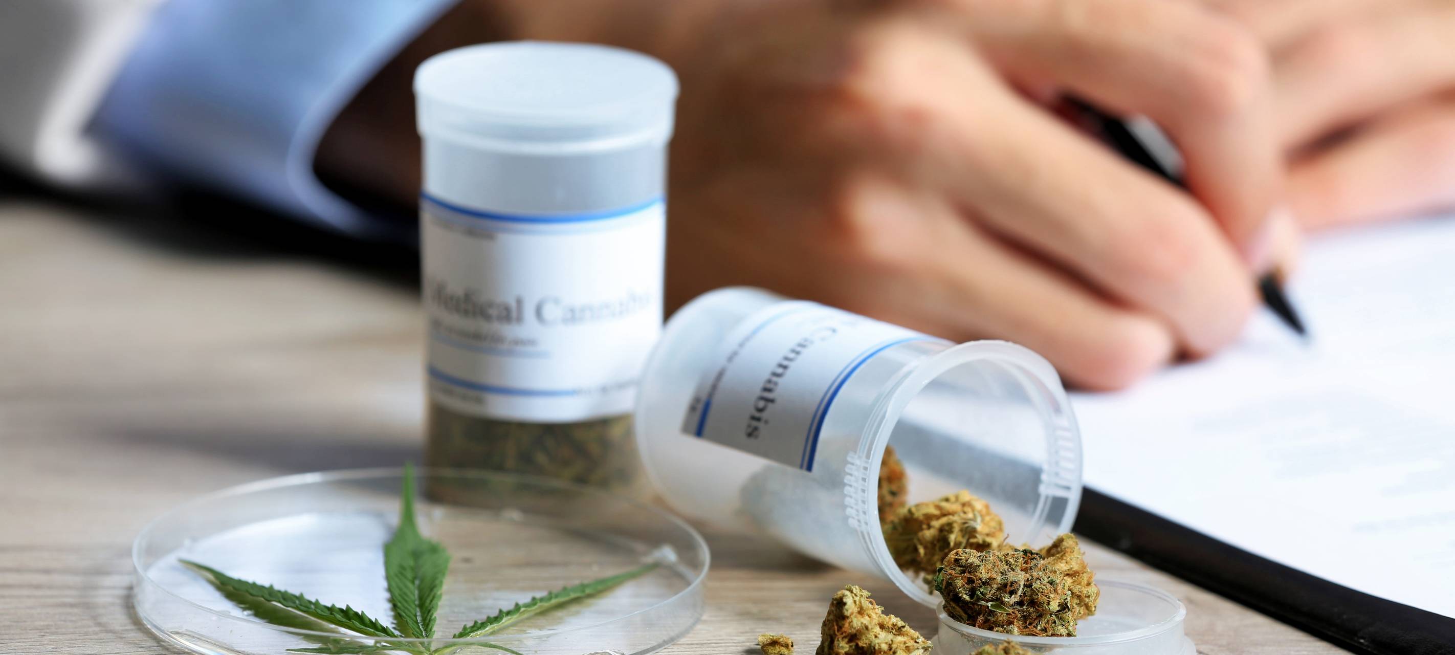 "Cannafair" bald wieder in Düsseldorf