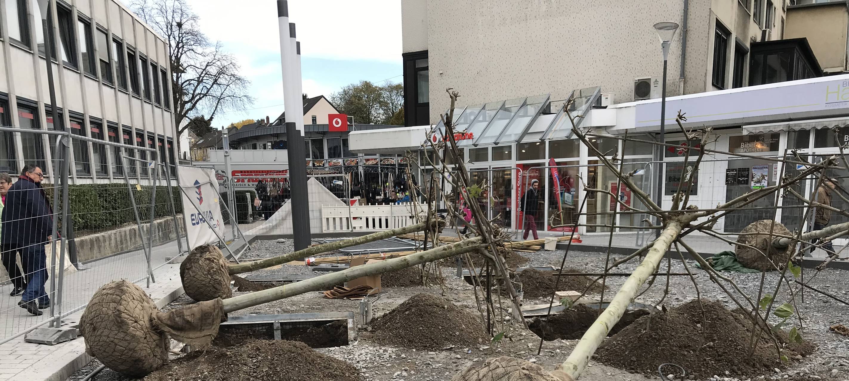 Waschbrett in Mettmann: Platanen wurden angeliefert