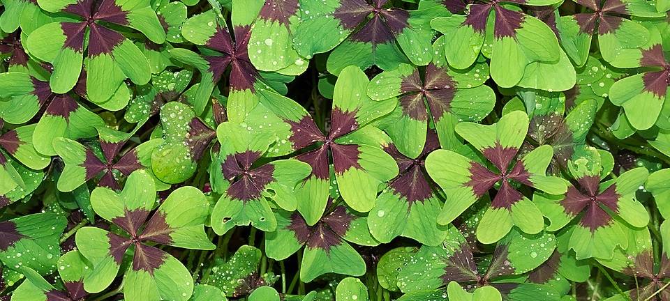 Menschen wieder glücklicher