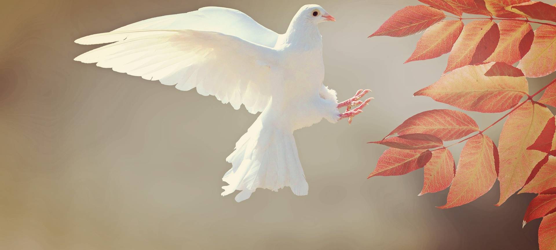 Mahnwachen im Kreis Mettmann