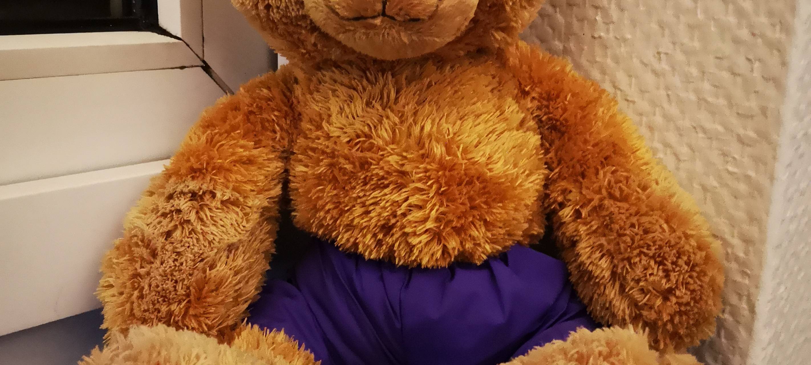 Teddybären im Polizeidienst