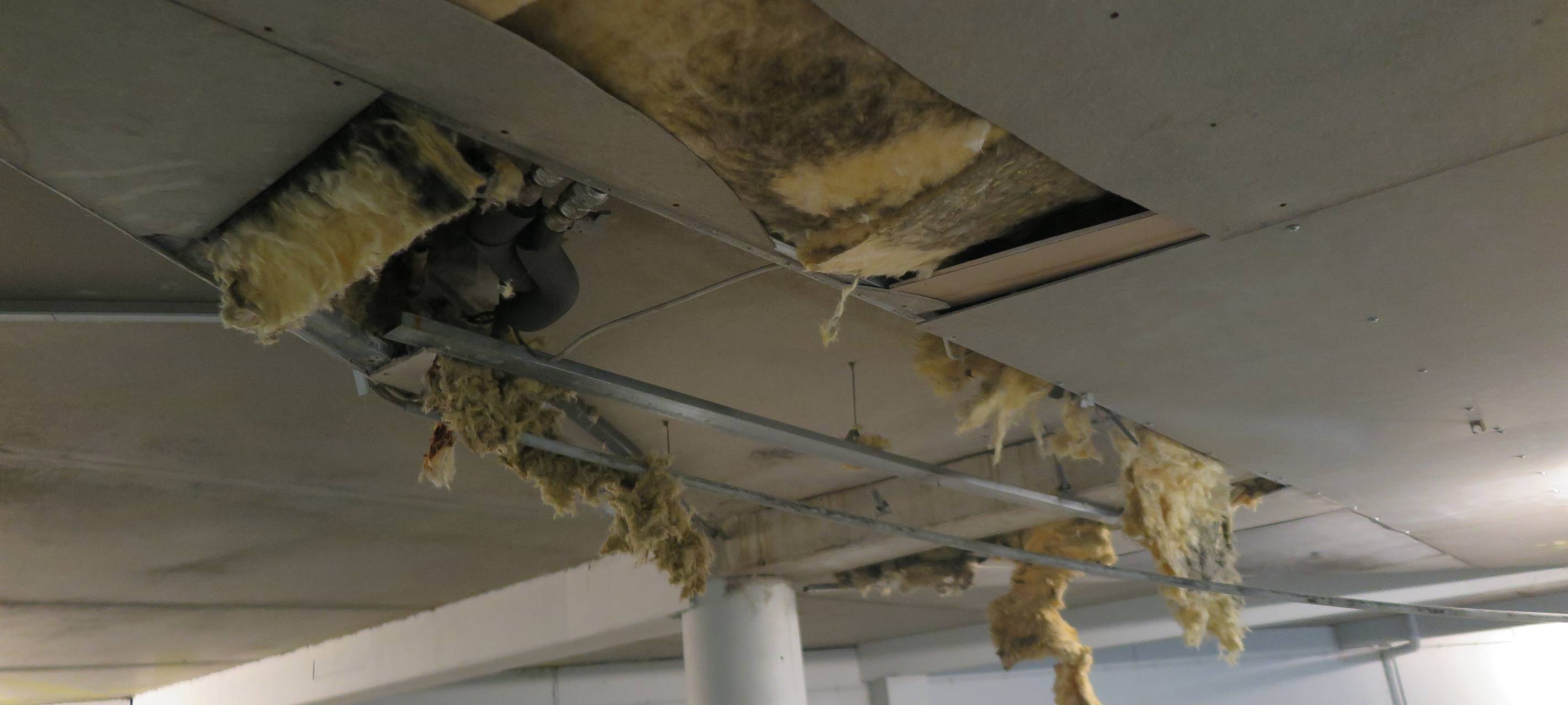 Ratingen: Nach Explosion - Polizei sucht Zeugen