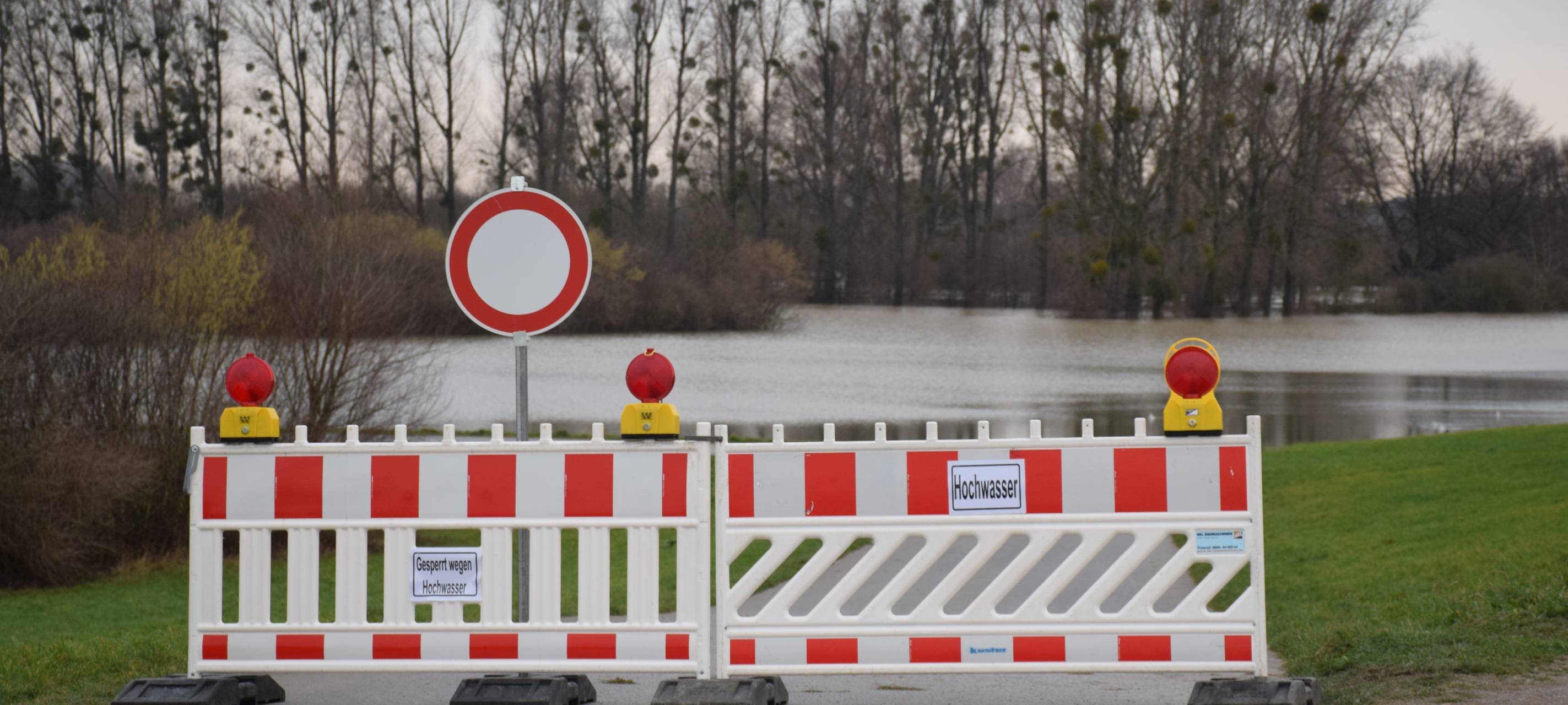 Rhein führt mehr Wasser
