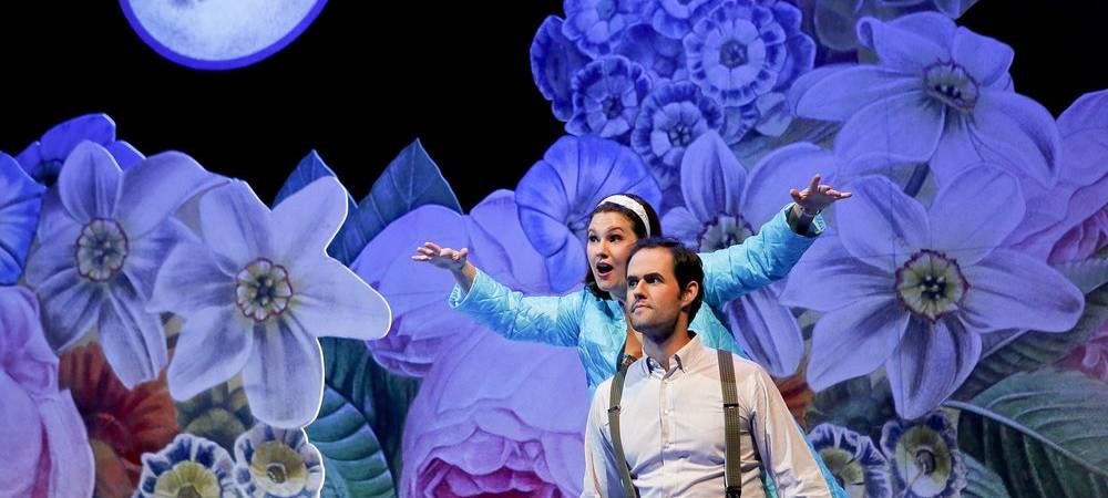 18.2.2020 - Der Vetter aus Dingsda -Operette in drei Akten