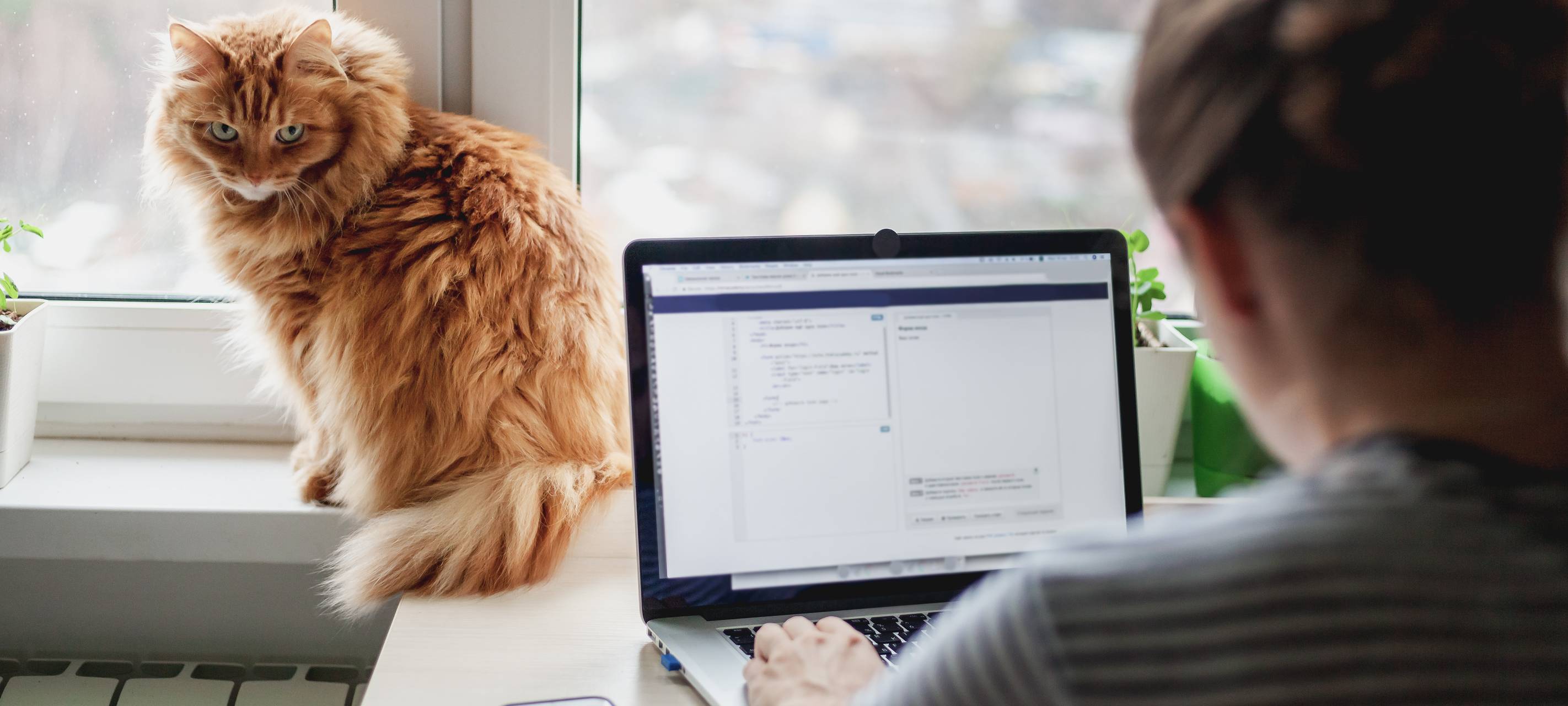 Home-Office nach Corona