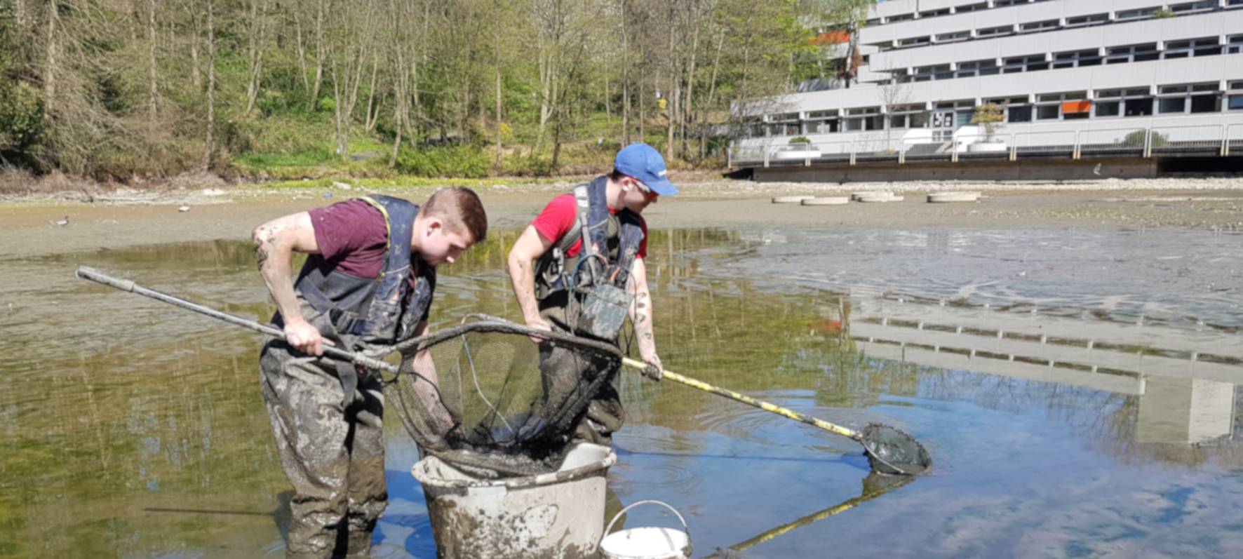 Fische im Stadtweiher qualvoll verendet
