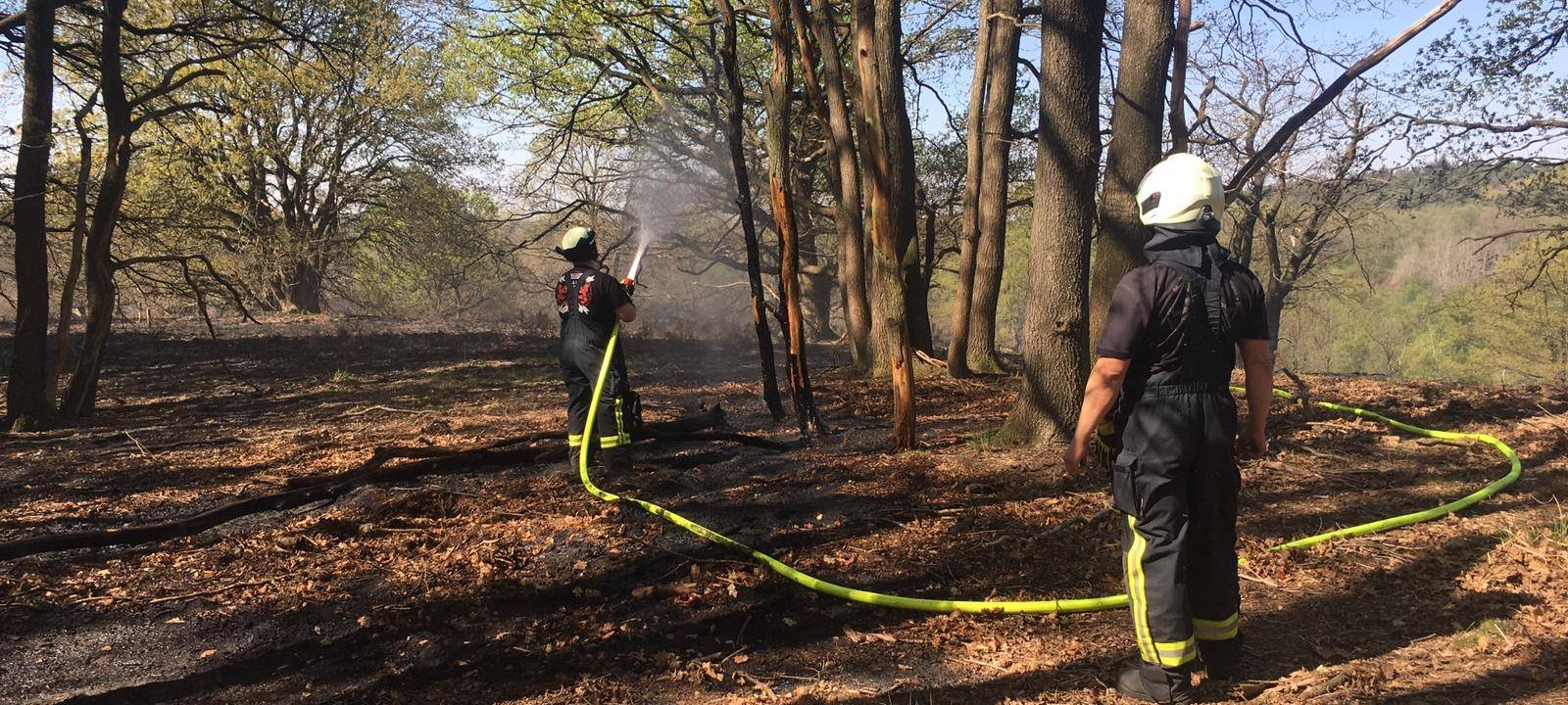 Hohe Waldbrandgefahr