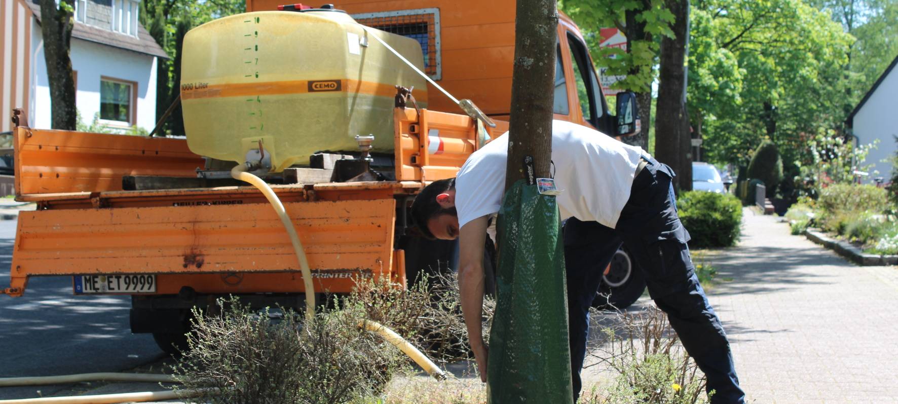Ausgetrocknete Pflanzen im Kreis Mettmann