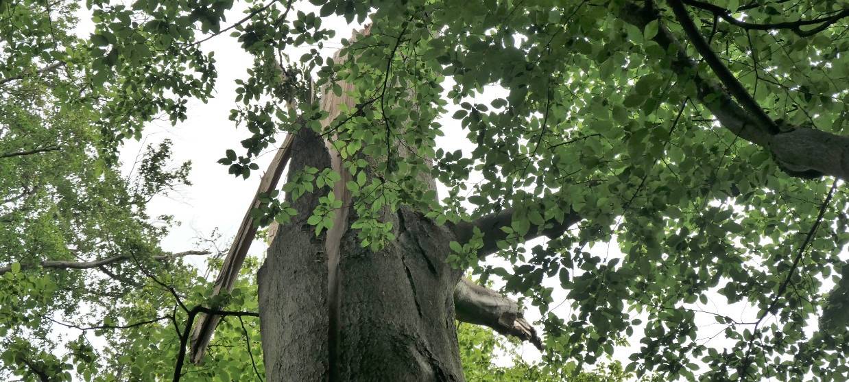 Sperrung auf dem Neanderlandsteig