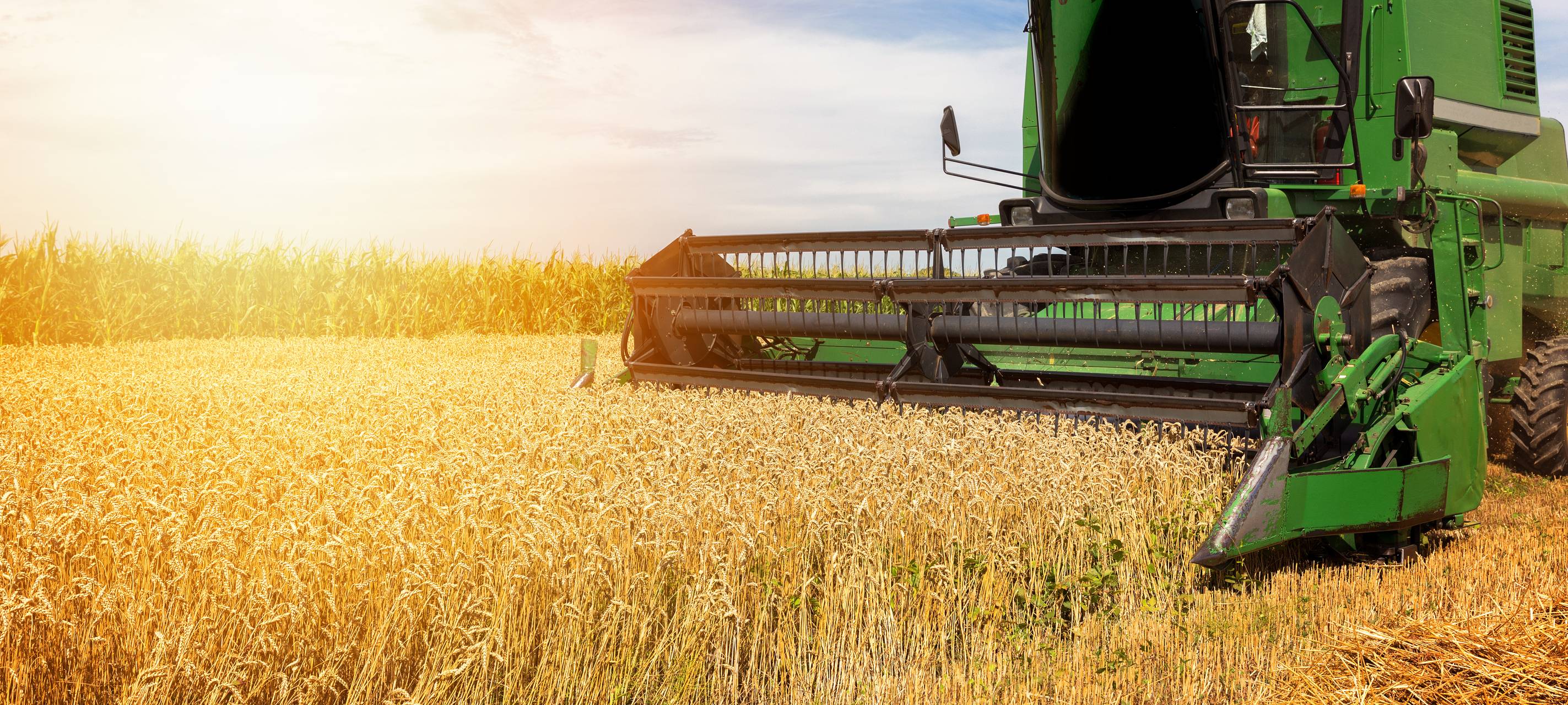 Bessere Ernte im Kreis Mettmann und der Region