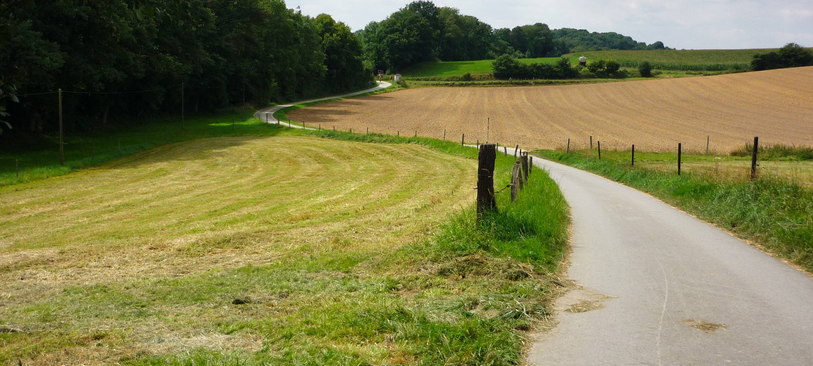 Brückenarbeiten in Naturschutzgebiet