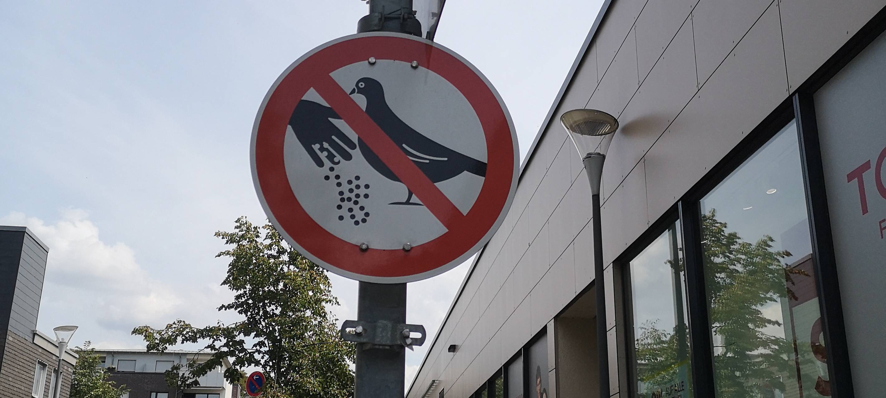 Verein setzt auf Taubenhaus