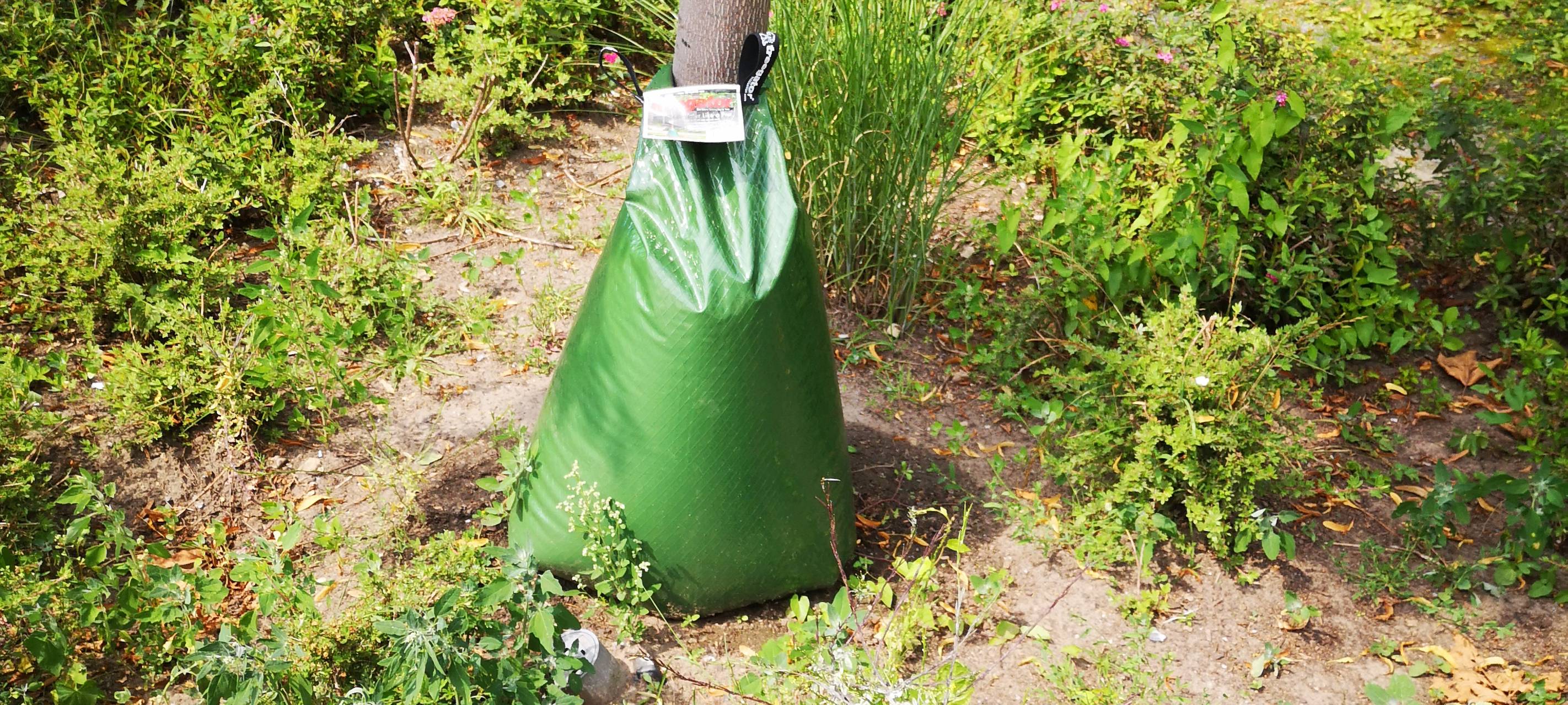 Private Wassersäcke von Bäumen abnehmen