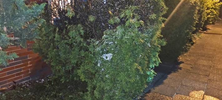 Wieder Feuer in Langenfelder Vorgarten