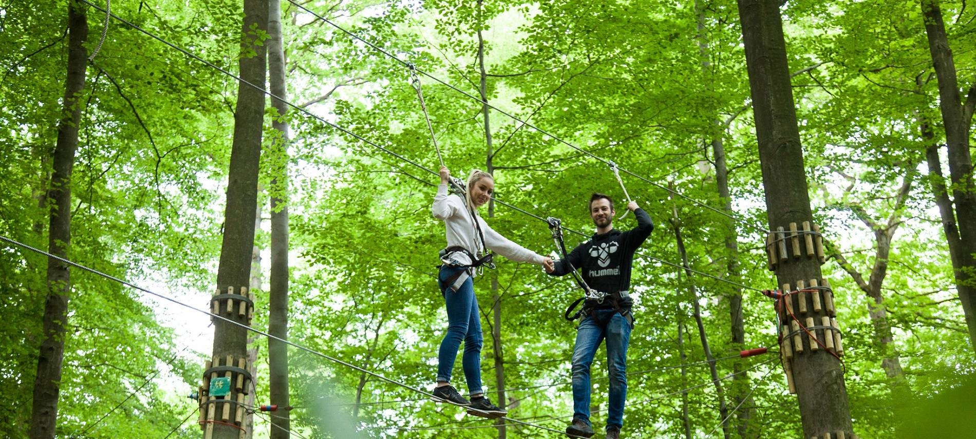 OVG soll über Öffnung der Waldkletterparks entscheiden