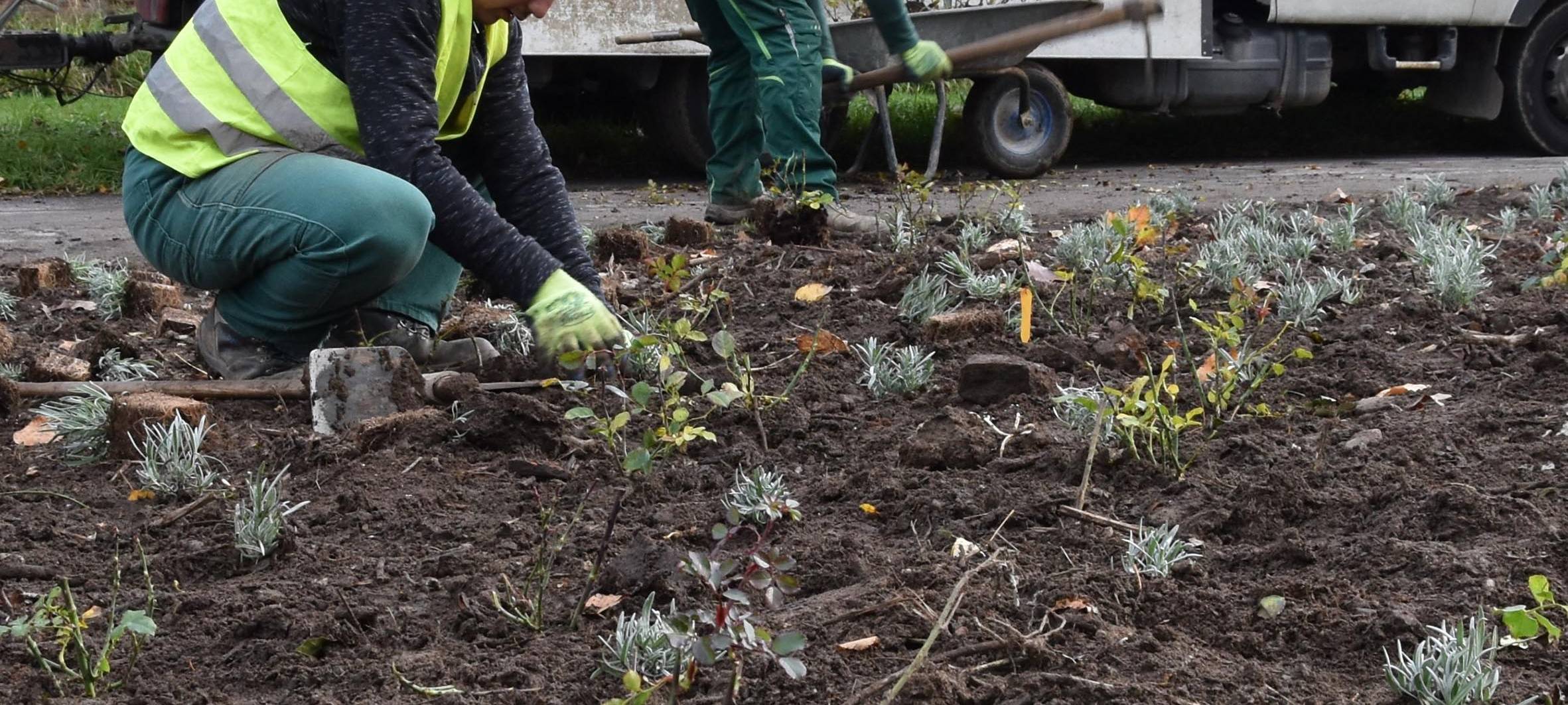 Monheim: Pflanzen für's Klima