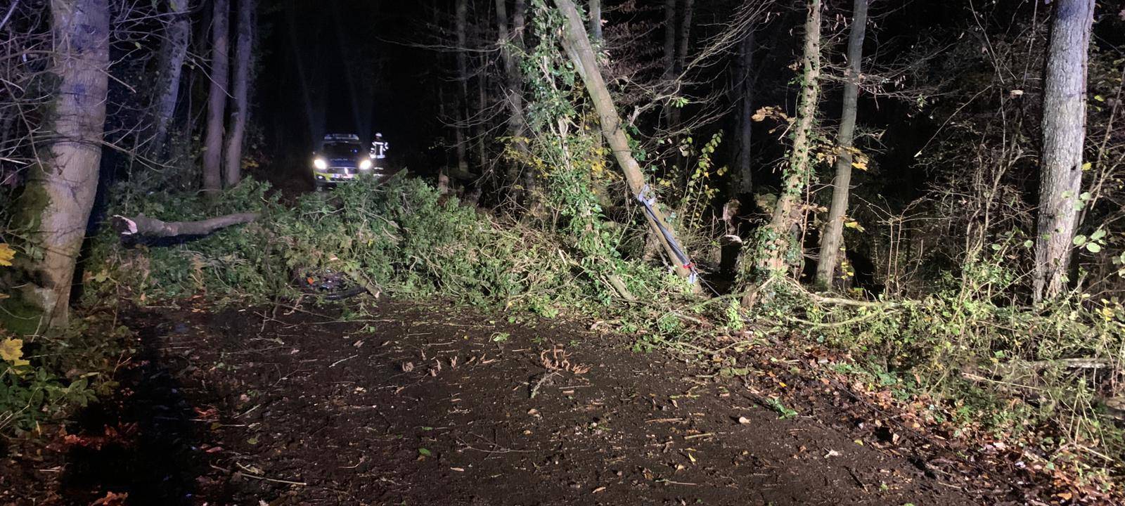 Haan: Junge unter Baum eingeklemmt