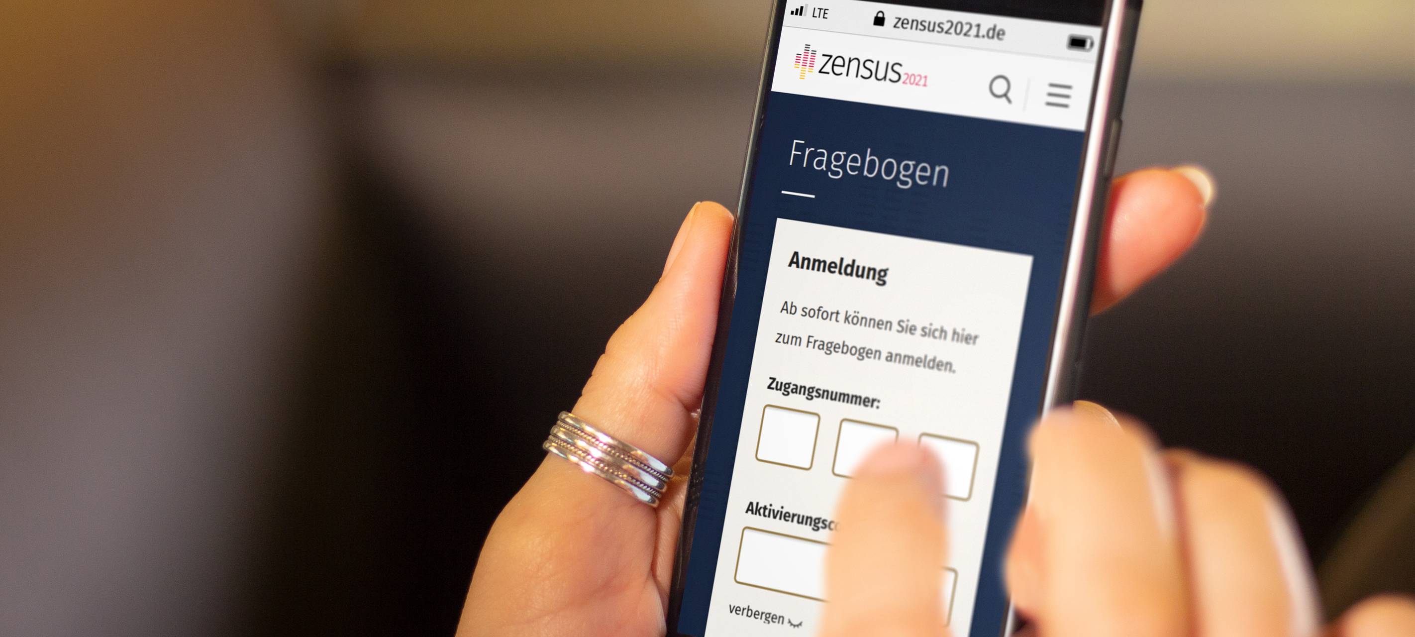 Große Haushaltsbefragung startet Sonntag