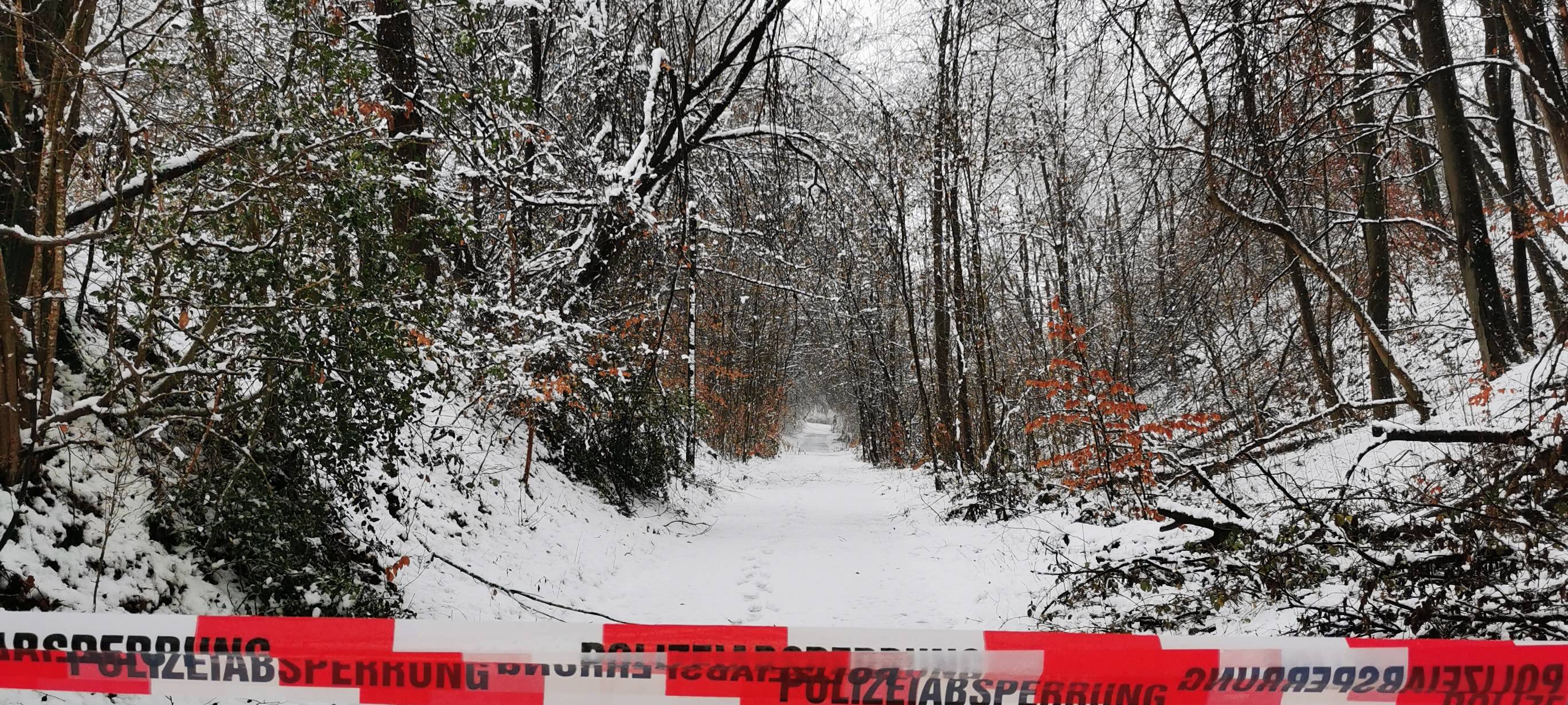 Schnee: Feuerwehren im Dauereinsatz