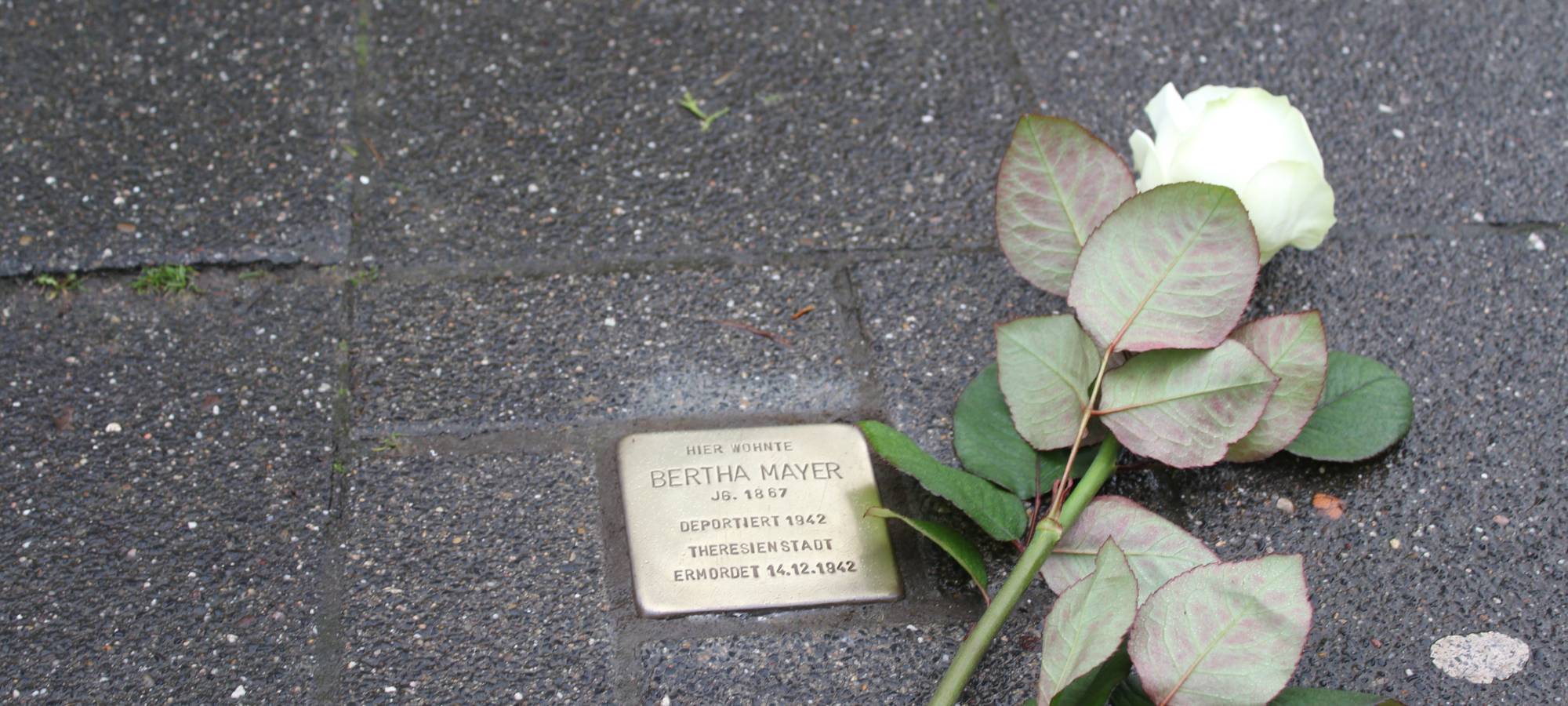 Gedenktag für die Opfer des Nationalsozialismus