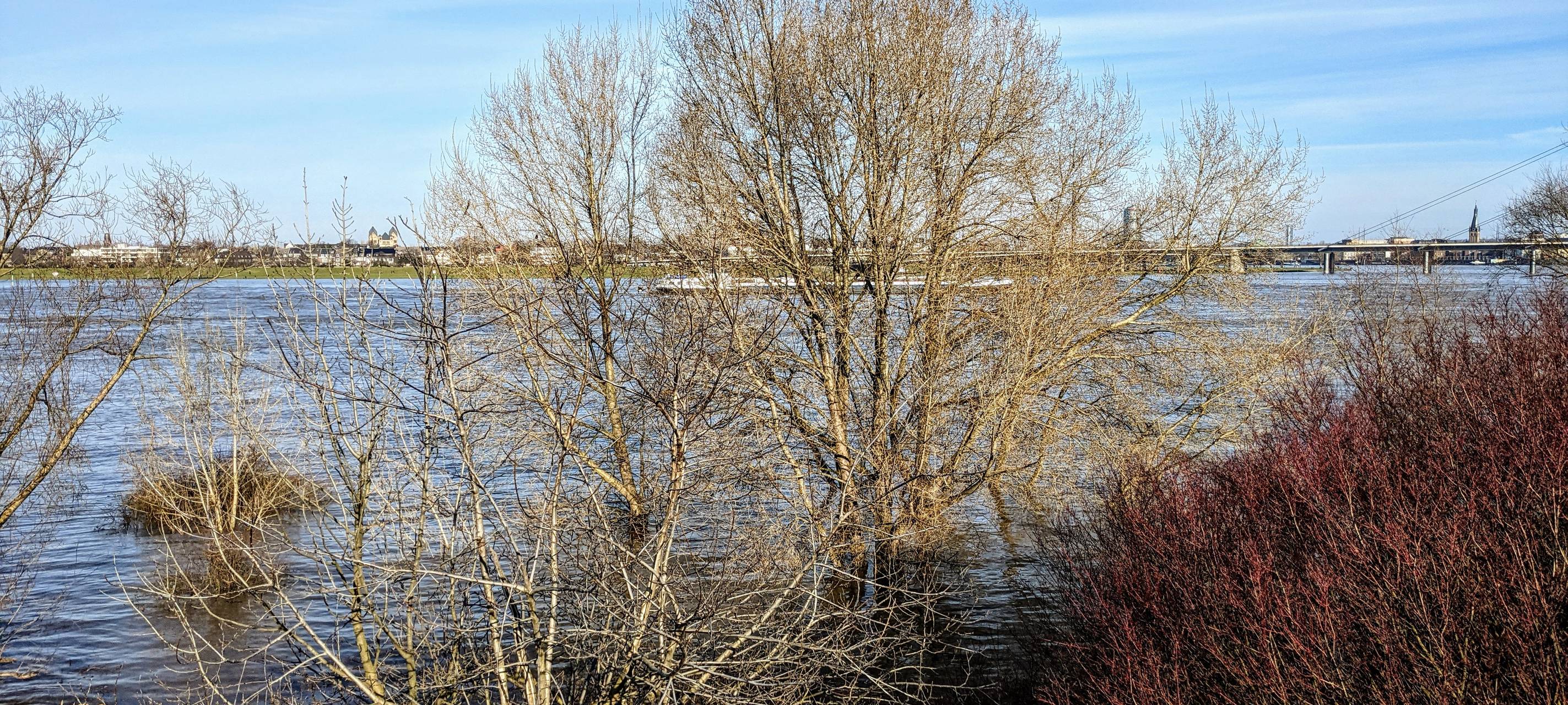 Rheinpegel steigt