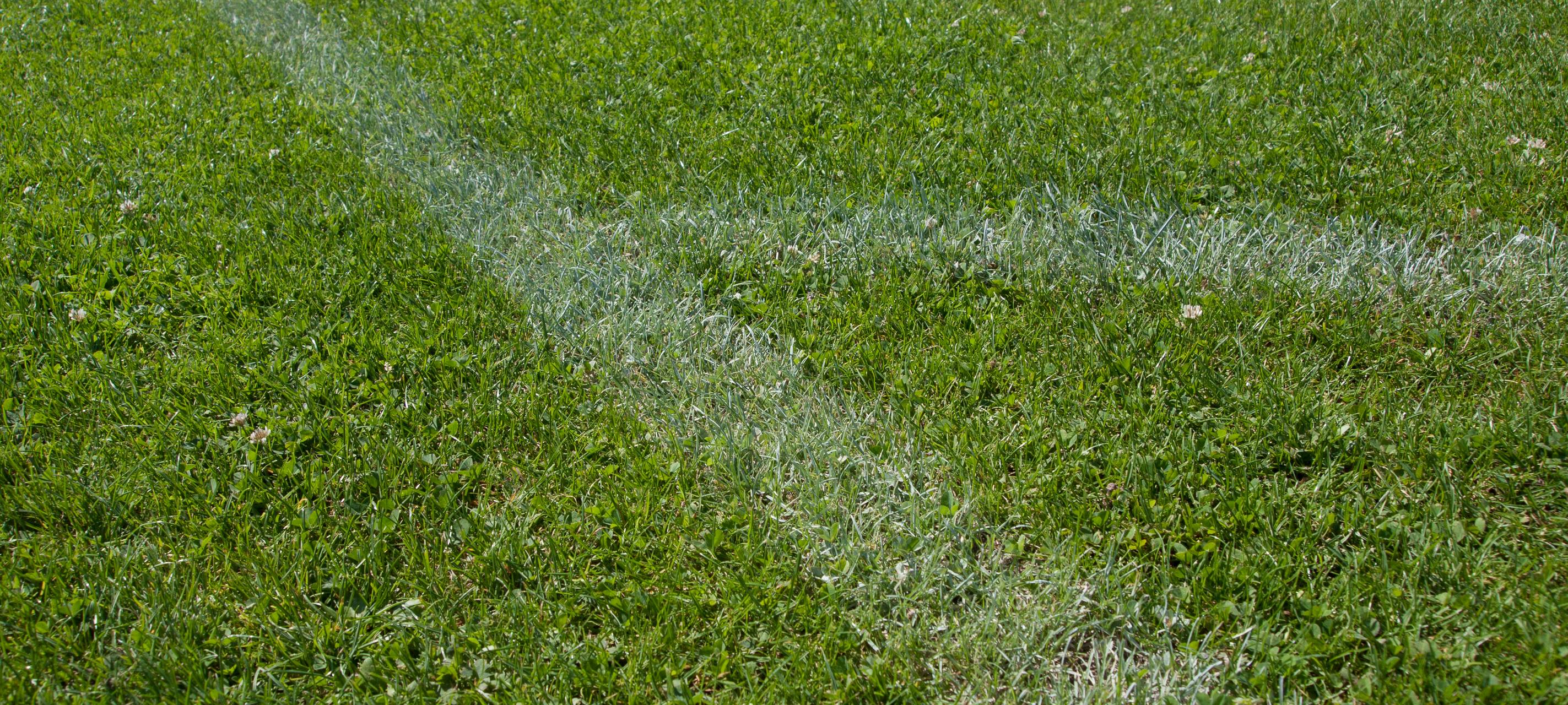 Monheim: Bürgerdialog zu Bayer Leverkusen-Trainingszentrum