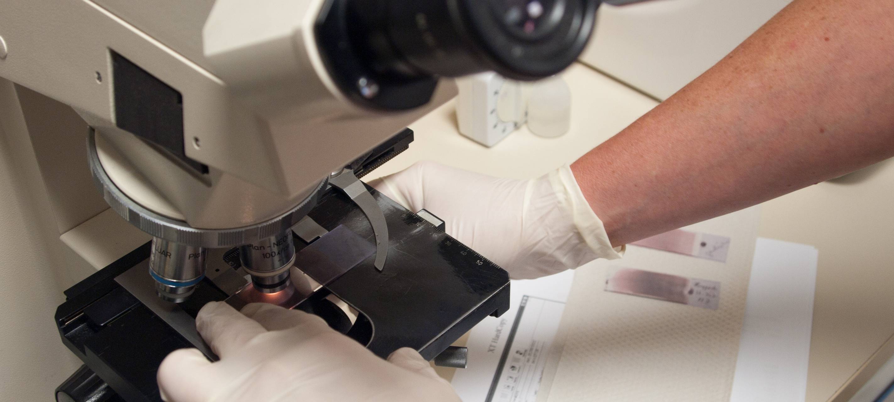 Langenfeld: Corona-Fall in Kita