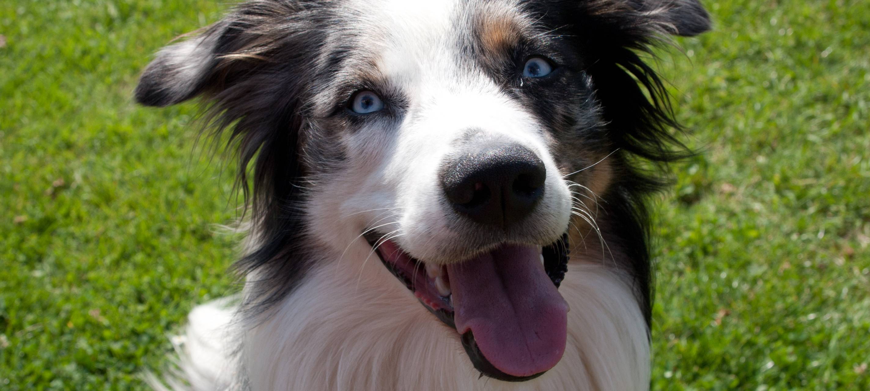 Skurrile Schadenersatzforderungen vor Gericht