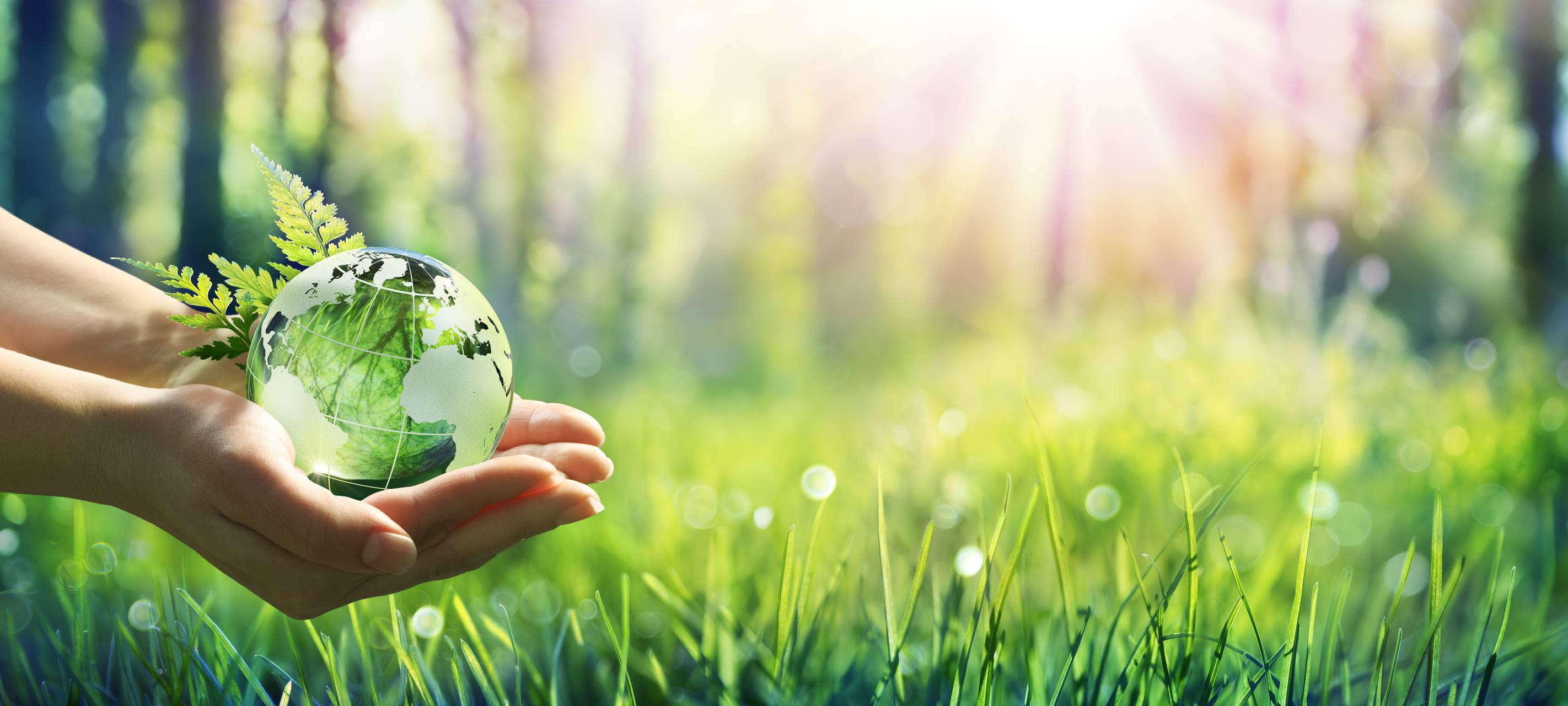 Naturschutz-Projekte bekommen Geld