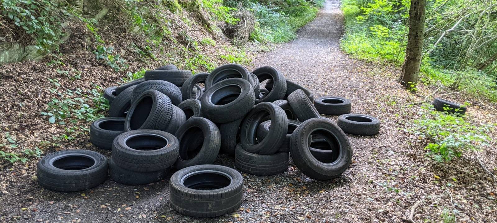 Kreis sucht Müllsünder